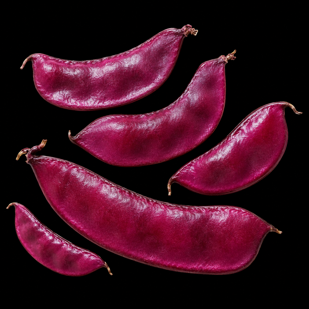 Annual | Novelty Plant - Ruby Moon Hyacinth Bean