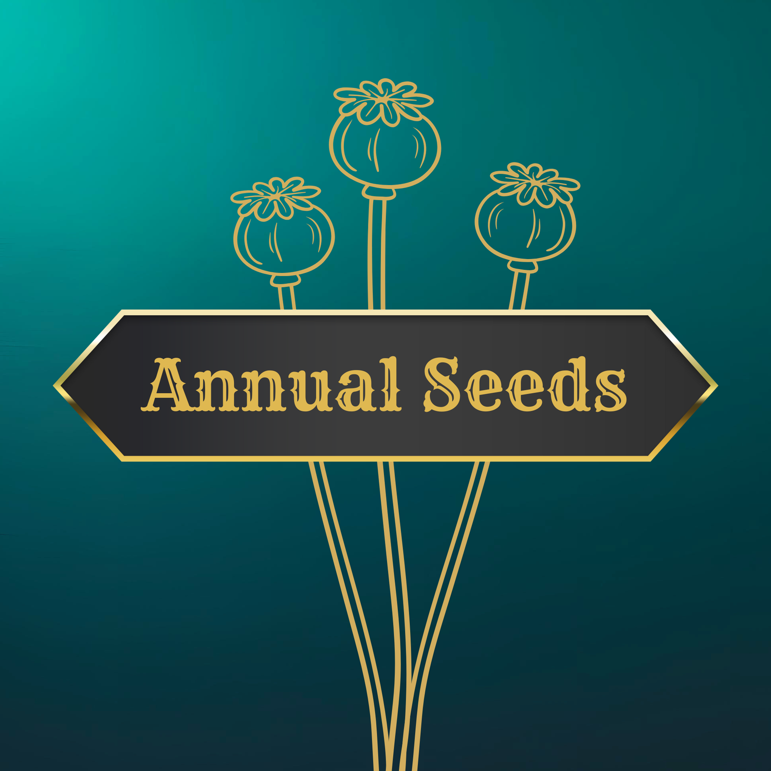 Annual Seeds