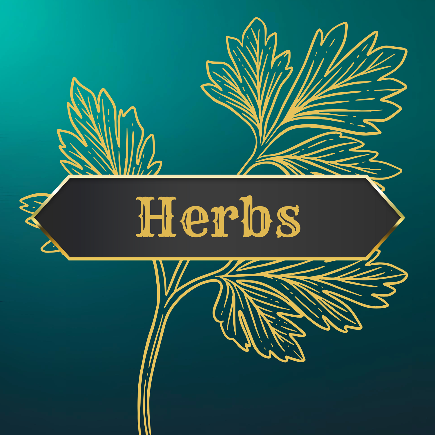Herb Transplants