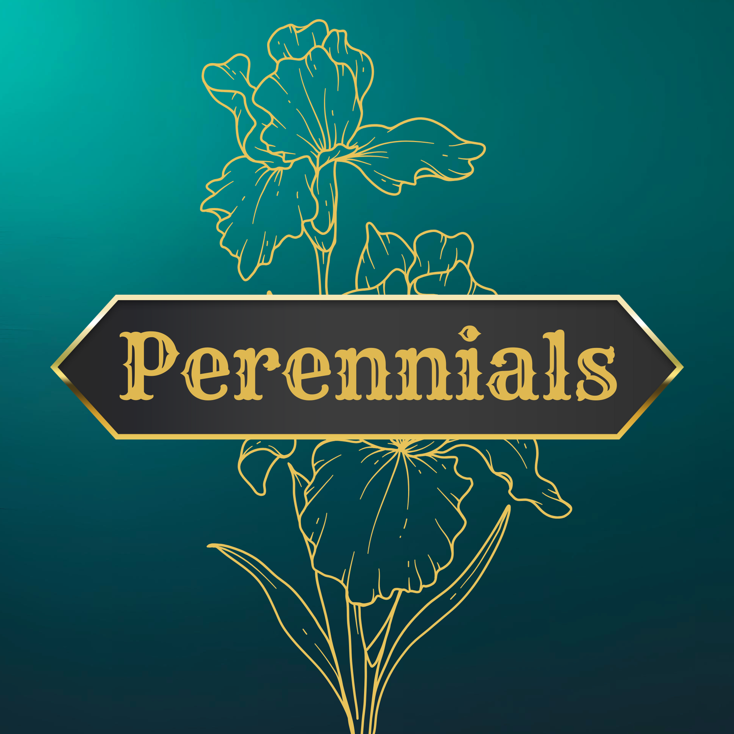 Perennials
