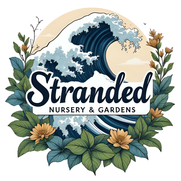 Stranded Nursery & Gardens