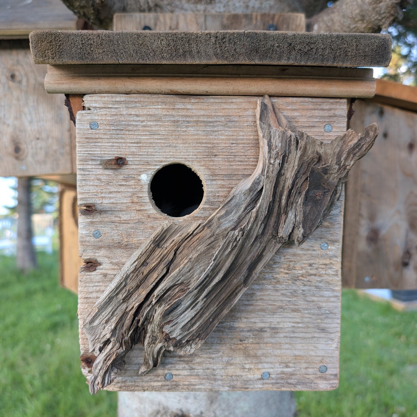 Birdhouse #3