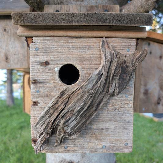 Birdhouse #3