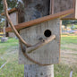 Birdhouse #2