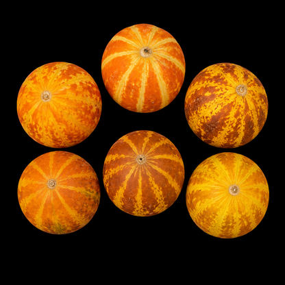 Annual | Novelty Plant - Queen Anne's Pocket Melon
